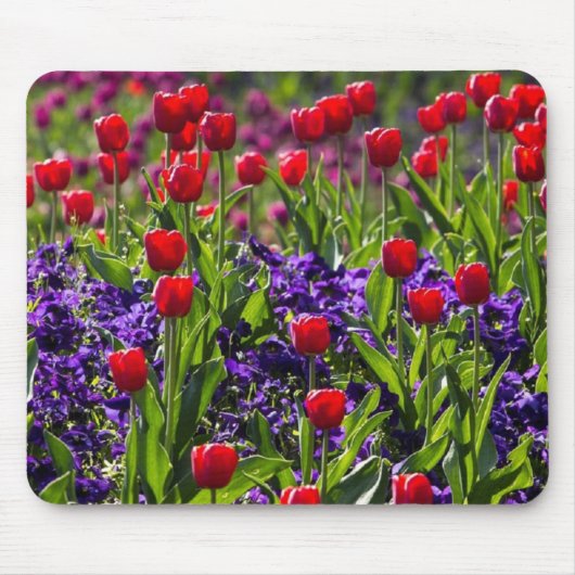 Blumenmohnblumen Mousepad (Vorne)