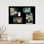 Blumenmontage Poster (Küche)