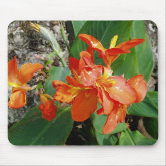 BlumenMousepad Mousepad