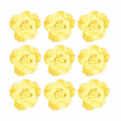 Blumenmuster Gelbes Rosendekor Aufkleber (Vorderseite)