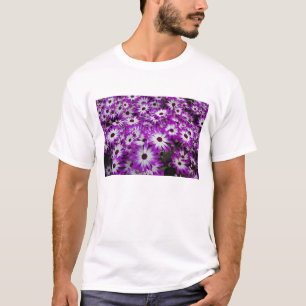 Blumenmuster, Kuekenhof-Gärten, Lisse, T-Shirt
