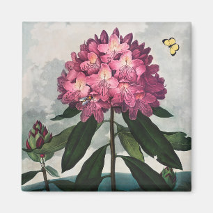 Blumenmuster Magnet