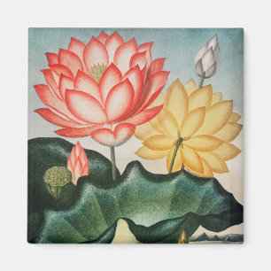 Blumenmuster-Magnet Magnet