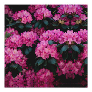 Blumenmuster-Mode-Dekorative abstrakt Poster