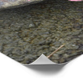 Blumenmuster nehmen Wurzel zu wachsen Blüte fotogr Poster (Ecke)