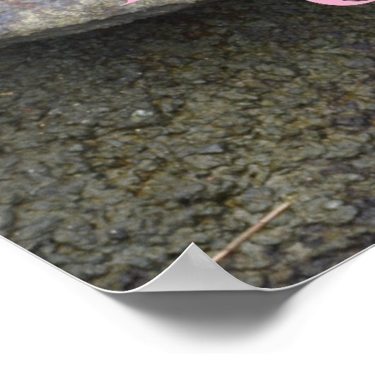 Blumenmuster nehmen Wurzel zu wachsen Blüte fotogr Poster (Ecke)