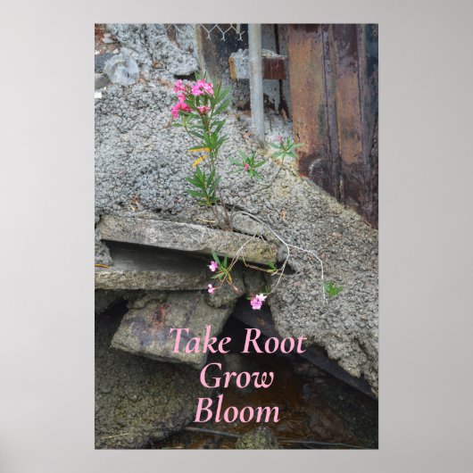 Blumenmuster nehmen Wurzel zu wachsen Blüte fotogr Poster (Vorne)