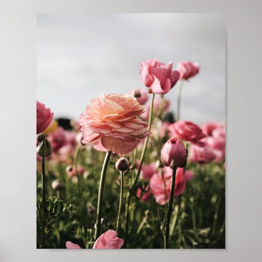 Blumenmuster, Value Poster Papier (Halbglanz) (Vorne)