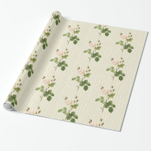 Blumenpapier, beige Rose, Blumenpapier Geschenkpapier