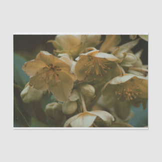 Blumenpapier Seidenpapier