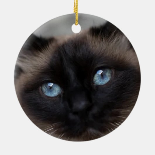 Blumenpaw Print Ornament (Hinten)