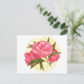 Blumenpeony Rosa Blume Vintage Farbe Postkarte (Stehend Vorderseite)