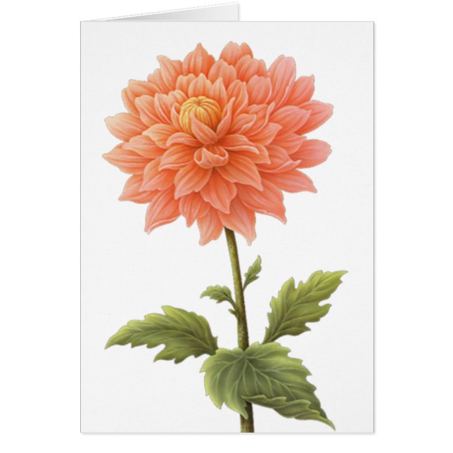 Blumenpfirsich Orange Dahlia Blume Malerei (Vorne)