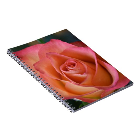 Blumenpfirsichrosa Rose Journal oder Notebook Notizblock (Rechte Seite)