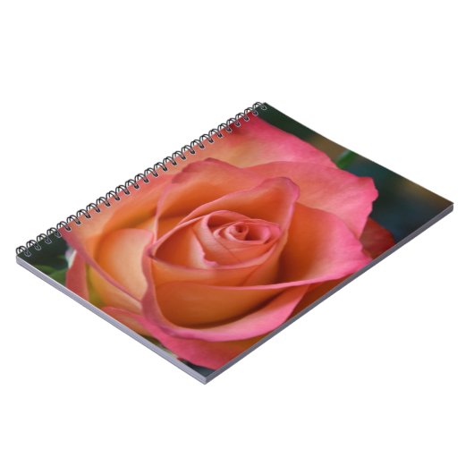 Blumenpfirsichrosa Rose Journal oder Notebook Notizblock (Linke Seite)
