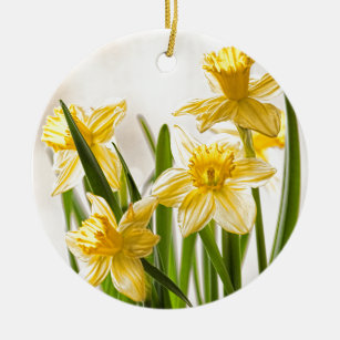 Blumenphotographie:  Gelbe Frühlings-Narzissen Keramikornament