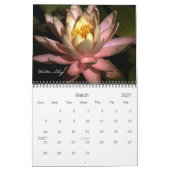 Blumenphotographie-Kalender 2013 Kalender (Mär 2027)