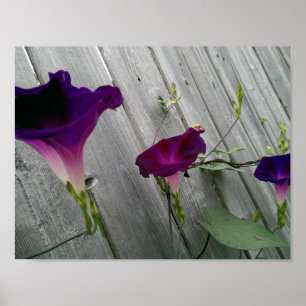 Blumenplakat (Matt) Poster
