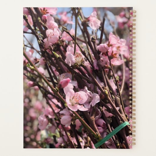 Blumenplaner Planer (Rückseite)