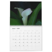 Blumenporträts-2027 Kalender (Mär 2027)