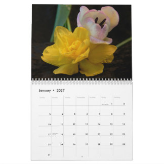 Blumenporträts-2027 Kalender