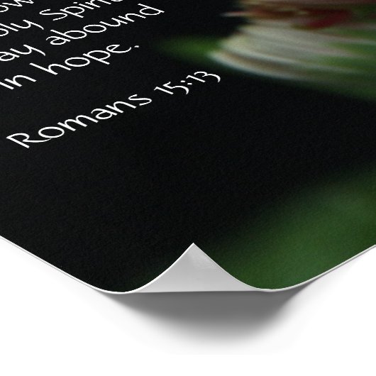 Blumenposter mit Bibelkommentar über Hoffnung und Poster (Ecke)