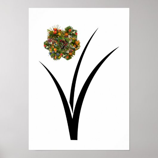 Blumenposter poster (Vorne)