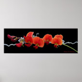 Blumenposter Poster (Vorne)