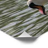 Blumenposter Schwan Poster (Ecke)