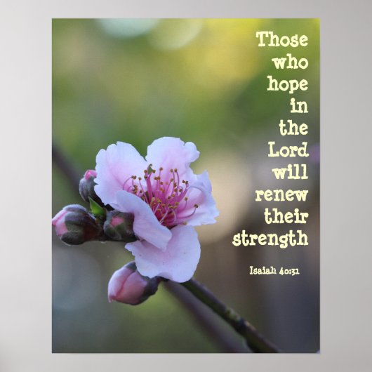 Blumenposter w Verse aus Isaiah 40:31 Poster (Vorne)