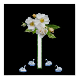 Blumenposter Weißer Schwan Poster