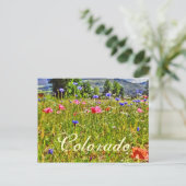 Blumenpostkarte Colorado Postkarte (Stehend Vorderseite)