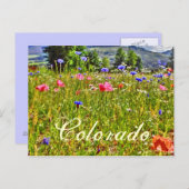 Blumenpostkarte Colorado Postkarte (Vorne/Hinten)