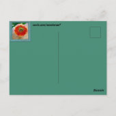 Blumenpostkarte Postkarte (Rückseite)