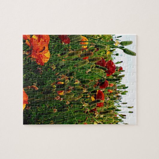 Blumenpuzzlespiel: Die Blumen-Felder, Karlsbad, CA Puzzle (Horizontal)