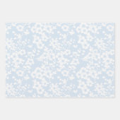 Blumenrankgitter - Pulverblau Geschenkpapier Set (Vorderseite)