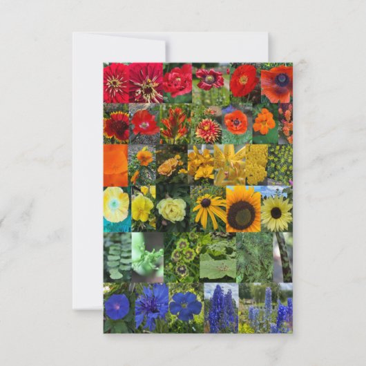 Blumenregenbogen mitteilungskarte (Vorderseite)