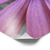 blumenreich fotodruck (Ecke)