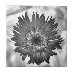 Blumenröntgenstrahl Fliese
