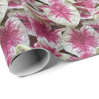 Blumenrosa Pflanzen Geschenkpapier