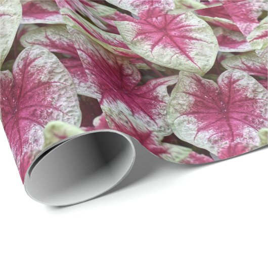 Blumenrosa Pflanzen Geschenkpapier (Rolleneckpunkt)