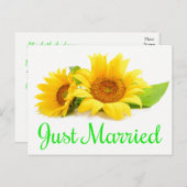 Blumenrosa Shabby Chic Nur verheiratete Rose Hochz Ankündigungspostkarte (Vorne/Hinten)