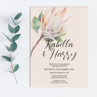 Blumenrot Rosa Protea Blume Hochzeit