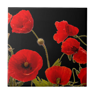 Blumenroter Mohn Blume Schwarzer Hintergrund farbi Fliese
