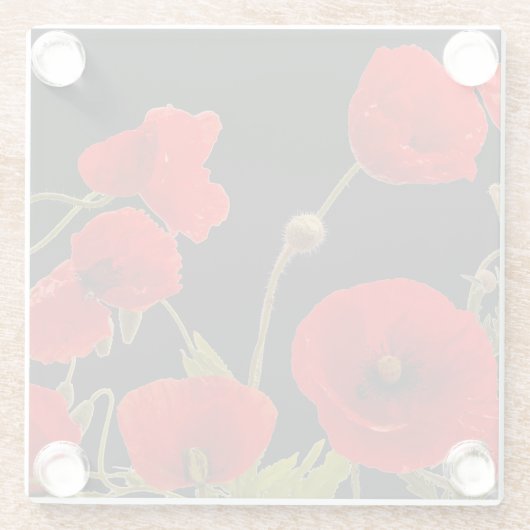 Blumenroter Mohn Blume Schwarzer Hintergrund farbi Glasuntersetzer (Rückseite)