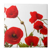 Blumenroter Mohn Blume Weißer Hintergrund farbig Fliese (Vorderseite)
