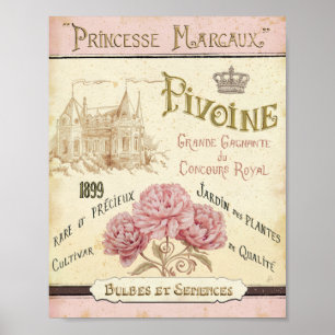 Blumensamen-Paket Poster