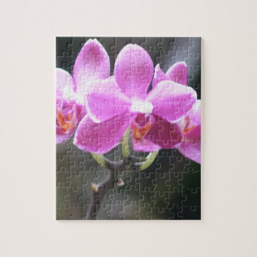 Blumensammlung Puzzle (Vertikal)