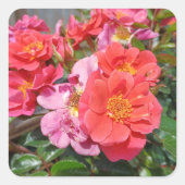 Blumensammlung quadratischer Aufkleber (Vorderseite)
