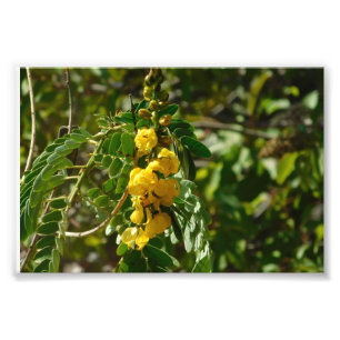Blumenschätze Fotodruck